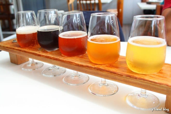 Beer sampling at Hallertau Brewery