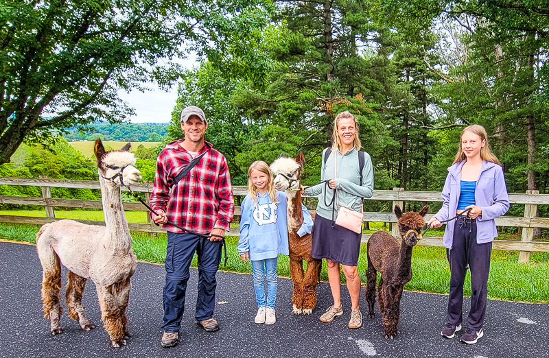 point-of-view-alpaca-farm-virginia-4 people walking alpacas