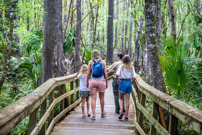 sebring-florida-5-1 family walking through Highlands Hammock State Park, one of the best things to do in Sebring, Florida